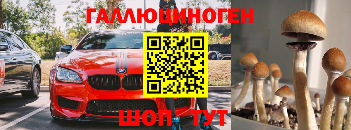 Рязань  Псилоцибиновые грибы ЛСД  Вход с VPN  Псилоцибиновые грибы ЛСД 